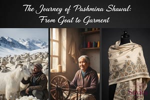 Journey of a Pashmina Shawl