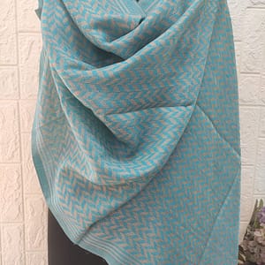 SHAWLS & SCARVES MANUFACTURER/ EXPORTER