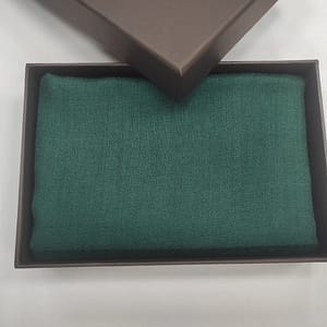 Emerald Green Wool Diamond Weave Pashmina Shawls for Women