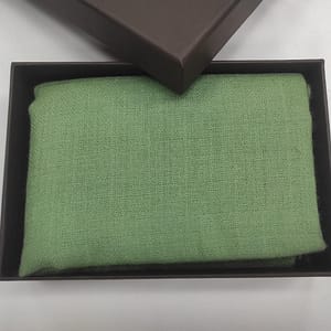Light Green Wool Diamond Weave Pashmina Shawls for Women